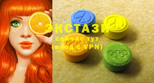 индика Балахна