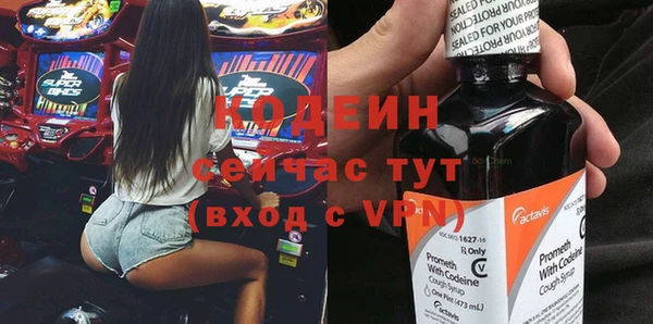 индика Балахна