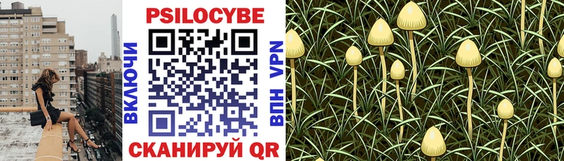 Псилоцибиновые грибы Magic Shrooms  Купить  Зеленоградск 